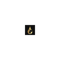 Application icon